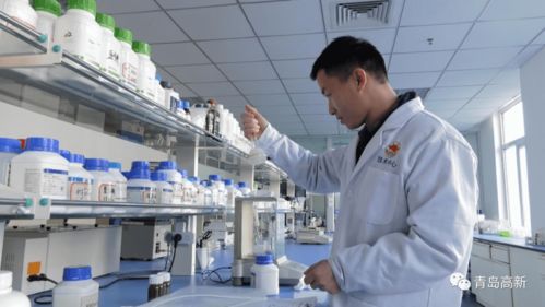 海大生物 以創(chuàng)新驅(qū)動(dòng)海洋科技，榮膺青島市全員創(chuàng)新企業(yè)