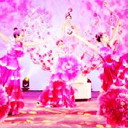 合風演藝 專業演出經紀，點亮舞臺藝術之光